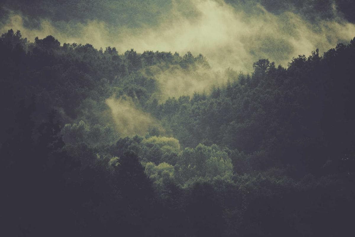 Is This Relationship Toxic? 12 Expert-Backed Signs and How to Move Forward